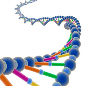DNA Double Helix Ladder